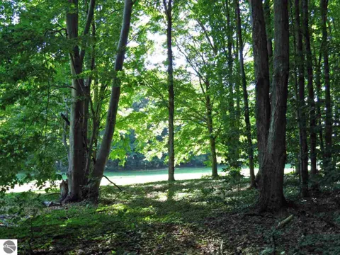 Mountain Woods Court