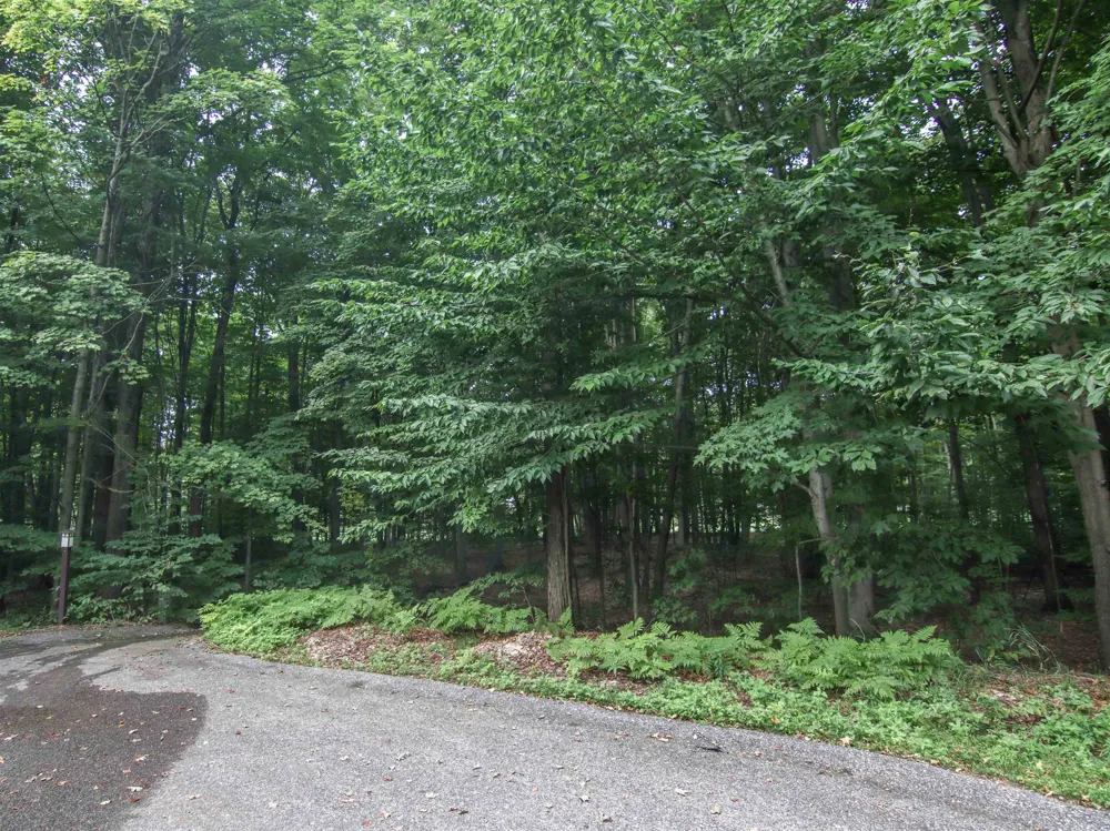 Mountain Woods Court Weldon Township, MI 49683