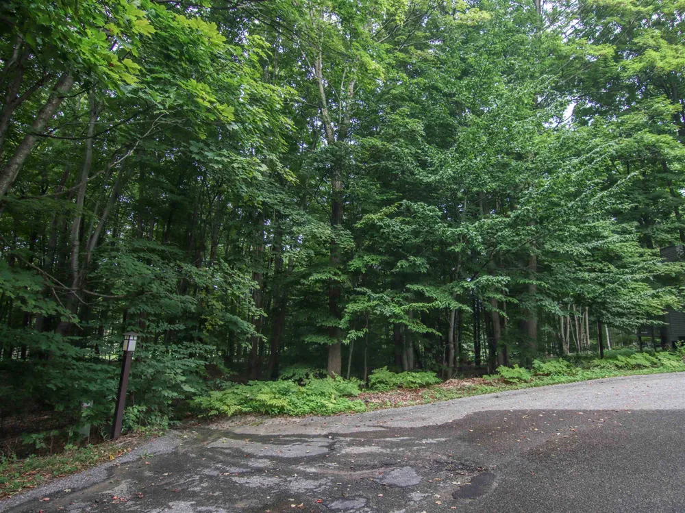 Mountain Woods Court Weldon Township, MI 49683