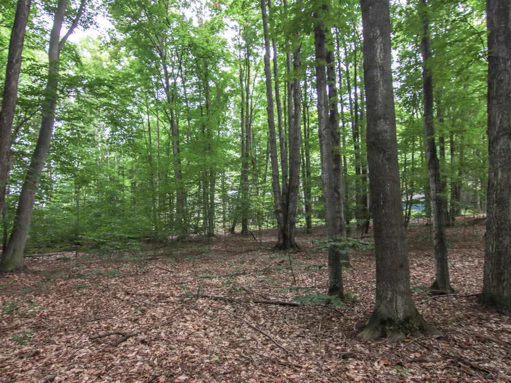 Mountain Woods Court Weldon Township, MI 49683