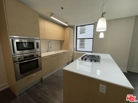727 W 7th Street #924