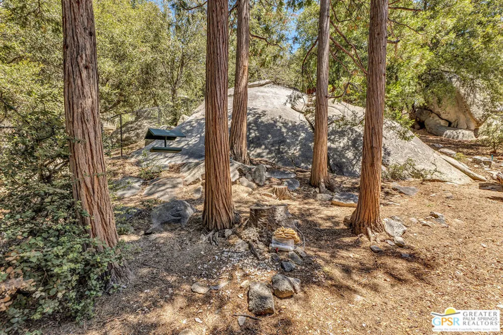 25280 Azalea Drive Idyllwild, CA 92549