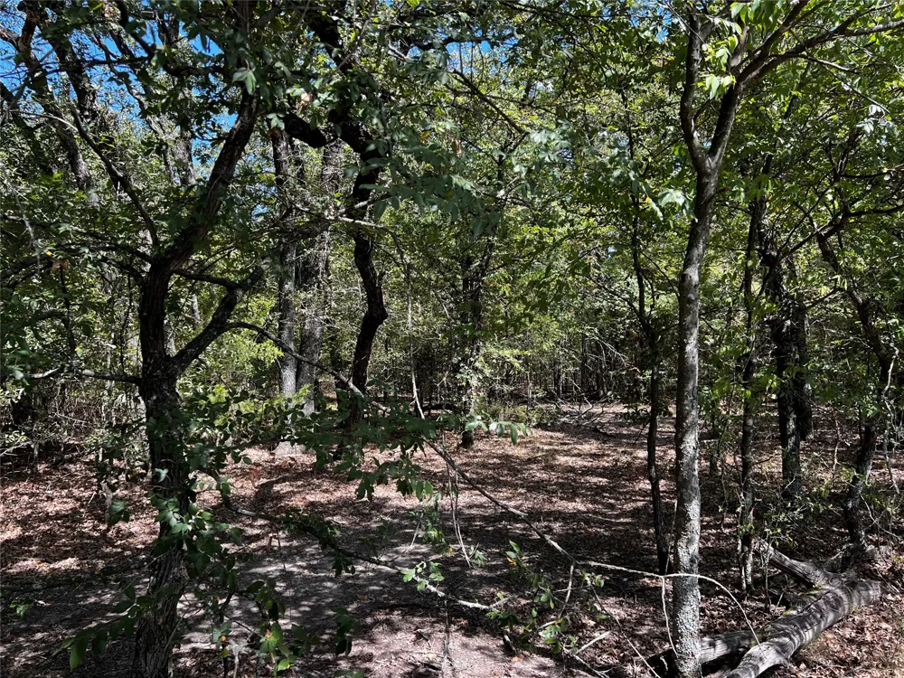 6070 County Road 4068 Kemp, TX 75143