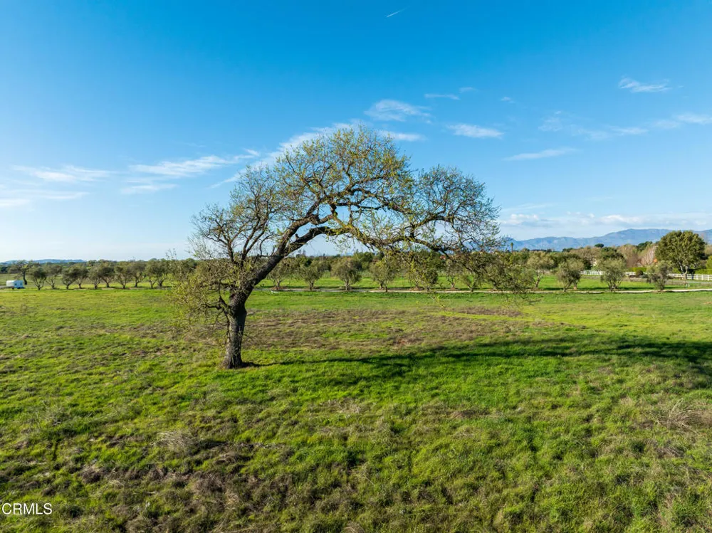 White Oak Road Santa Ynez, CA 93460