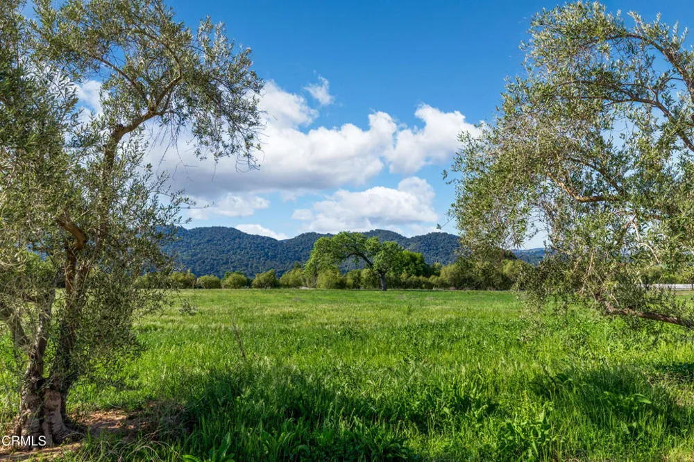 White Oak Road Santa Ynez, CA 93460