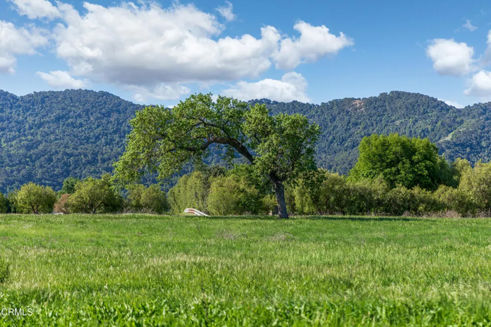 White Oak Road Santa Ynez, CA 93460