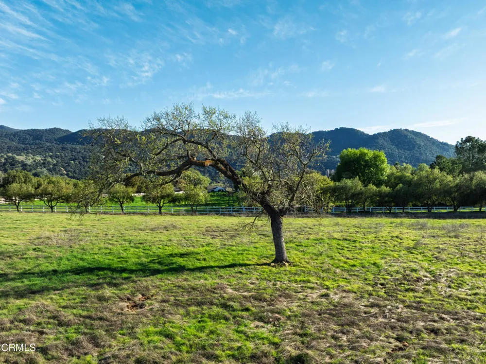White Oak Road Santa Ynez, CA 93460