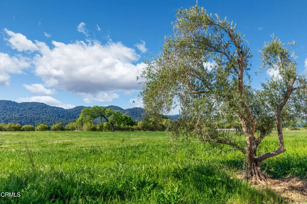 White Oak Road Santa Ynez, CA 93460