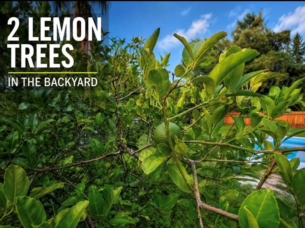 3101 FLOWERTREE ROAD Belle Isle, FL 32812