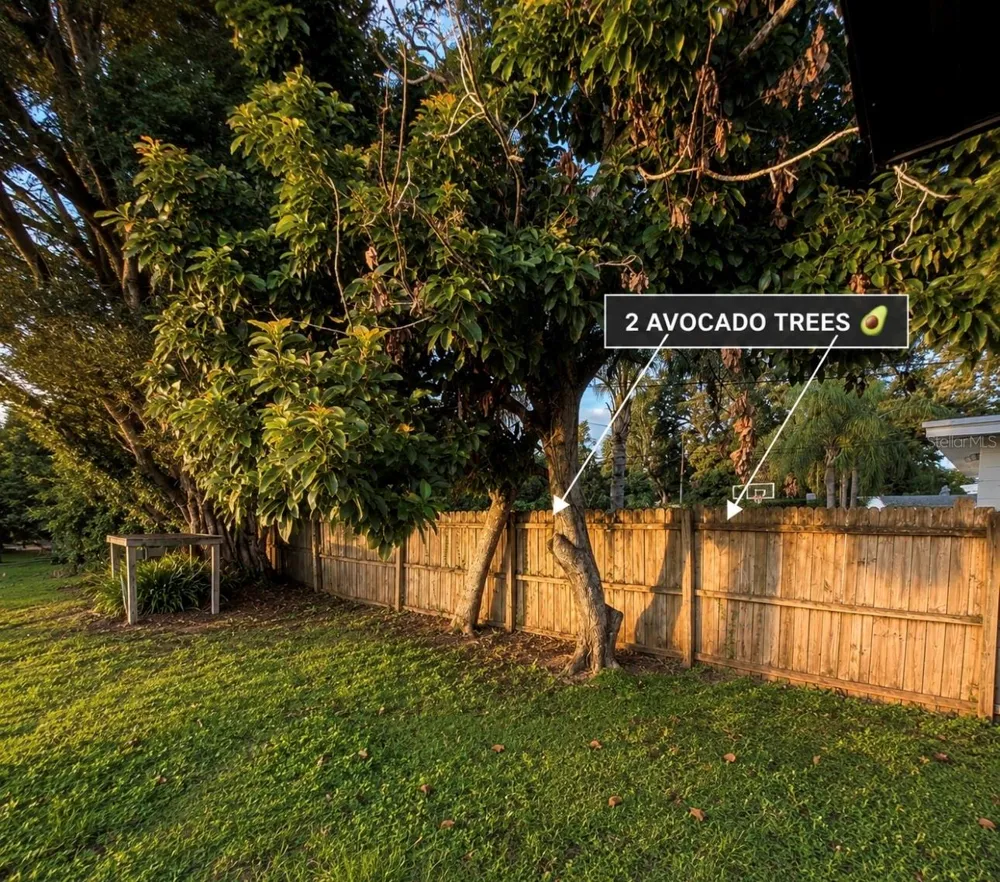 3101 FLOWERTREE ROAD Belle Isle, FL 32812