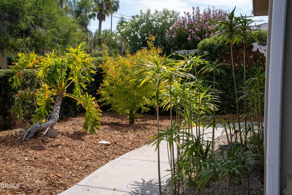 233 El Plano Drive Ojai, CA 93023