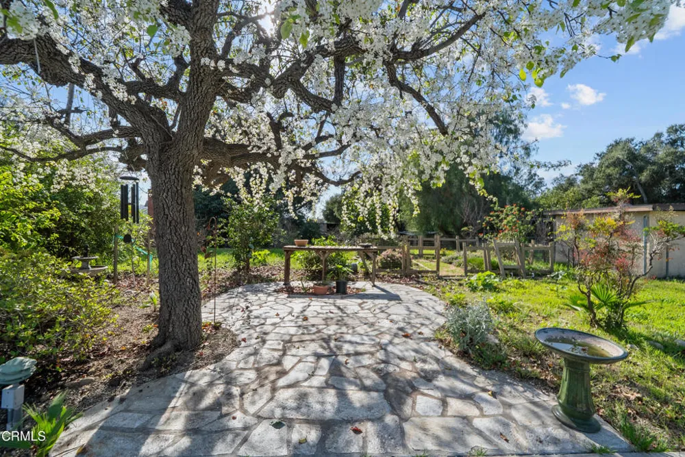 1325 Cliff Avenue Fillmore, CA 93015