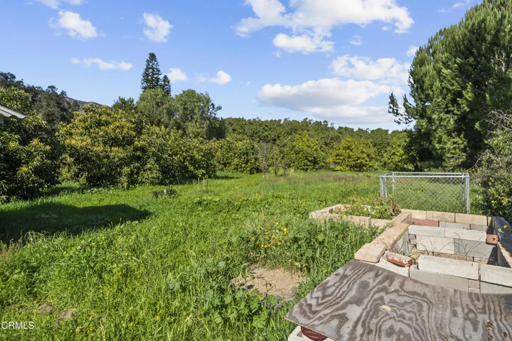1325 Cliff Avenue Fillmore, CA 93015