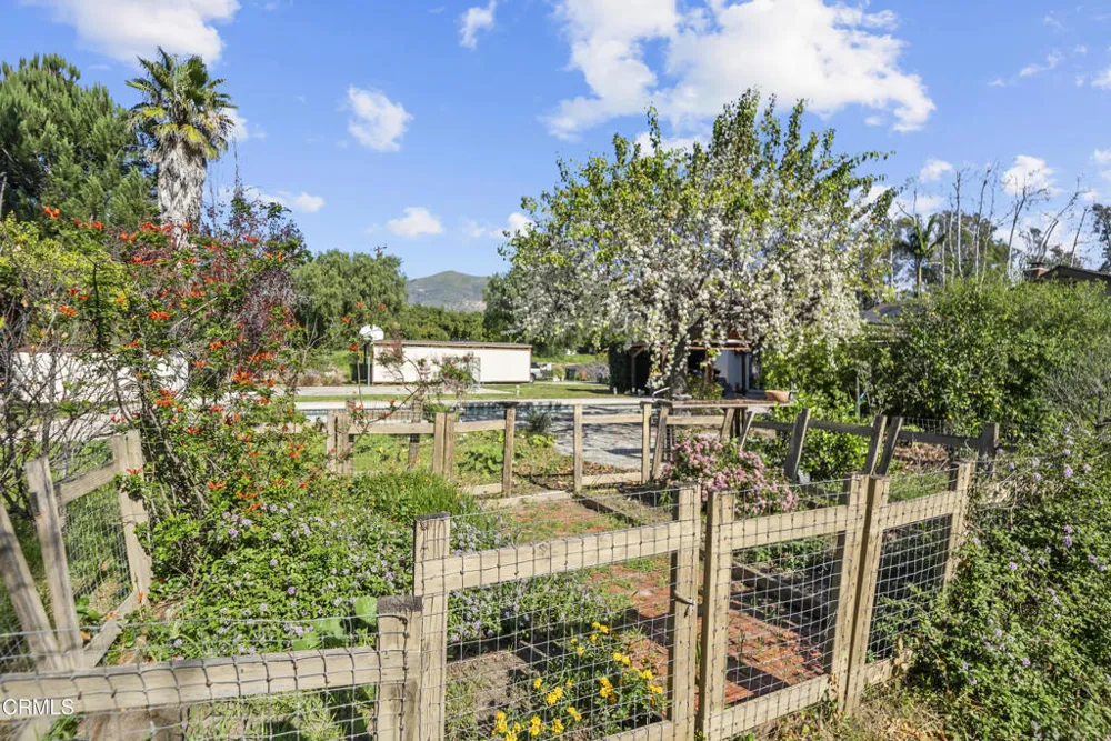 1325 Cliff Avenue Fillmore, CA 93015