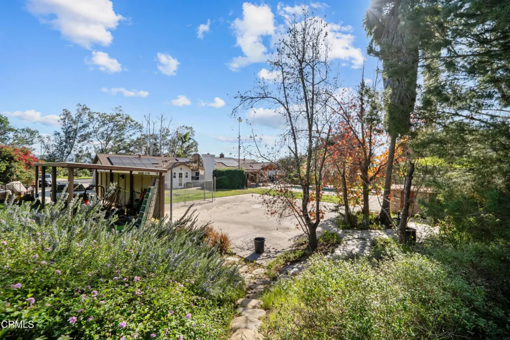 1325 Cliff Avenue Fillmore, CA 93015