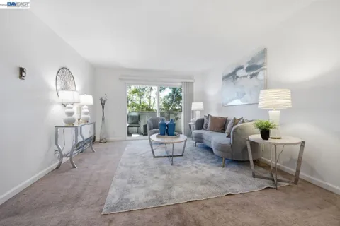 47112 Warm Springs Blvd #313