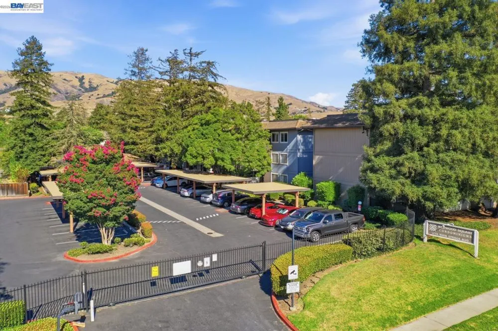 47112 Warm Springs Blvd #313 Fremont, CA 94539