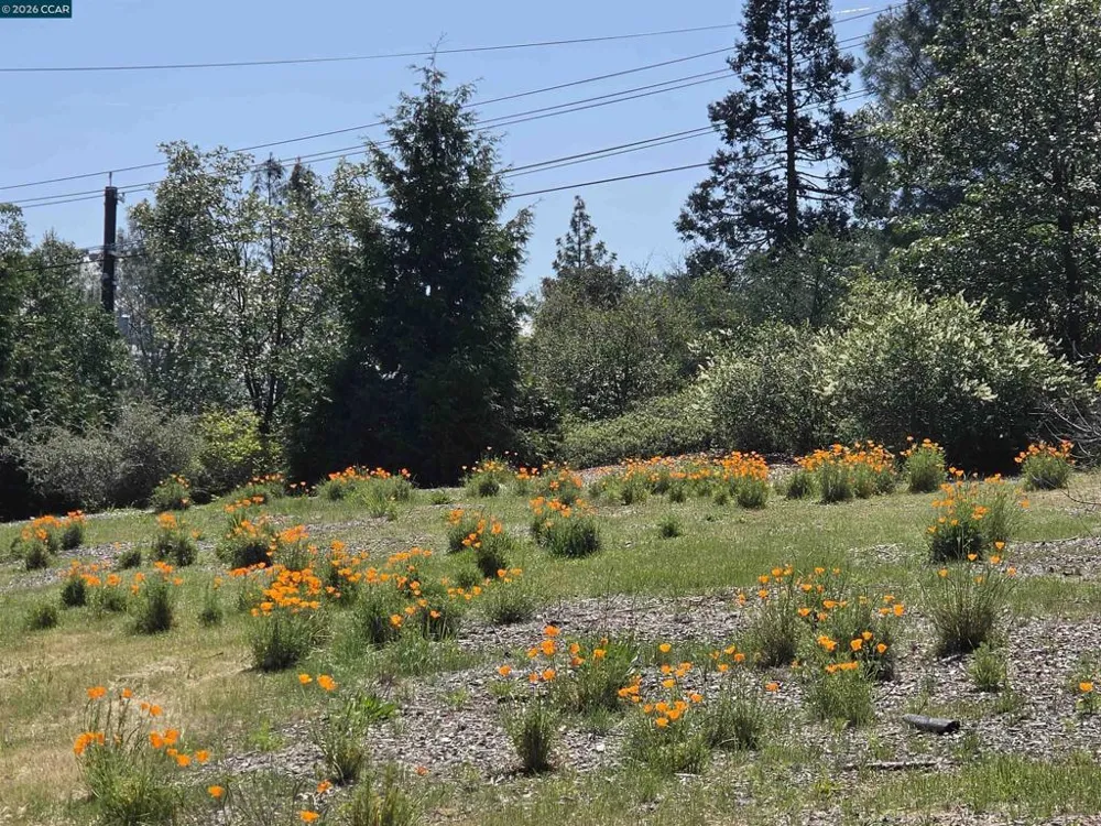 5184 Darby Russell Rd Murphys, CA 95247