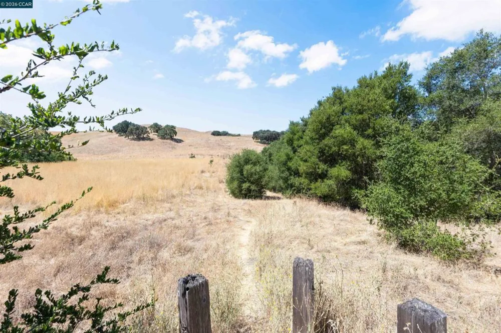 109 Blossom Ct Danville, CA 94506