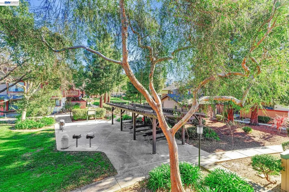 287 E Warren Ave Fremont, CA 94539