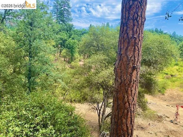 13133 Wells Fargo Drive Groveland, CA 95321