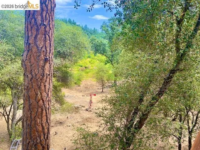 13133 Wells Fargo Drive Groveland, CA 95321