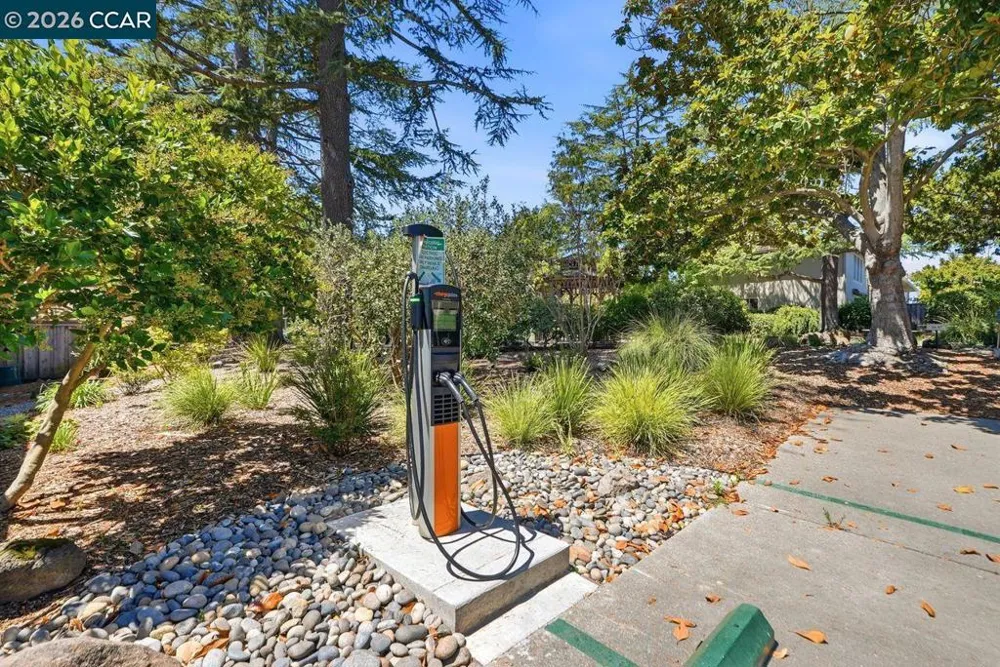 167 Miramonte Dr Moraga, CA 94556