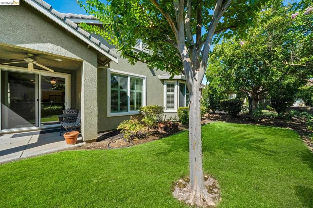 297 Baldwin Dr Brentwood, CA 94513