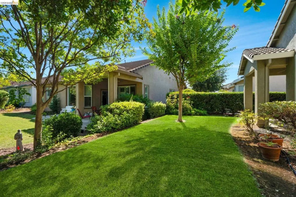 297 Baldwin Dr Brentwood, CA 94513