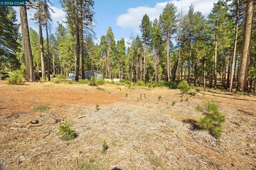 14080 Temple Cir Magalia, CA 95954