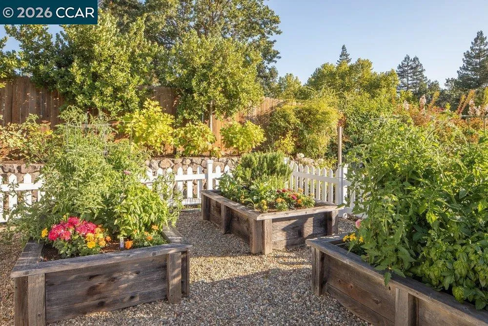 694 Los Palos Dr Lafayette, CA 94549