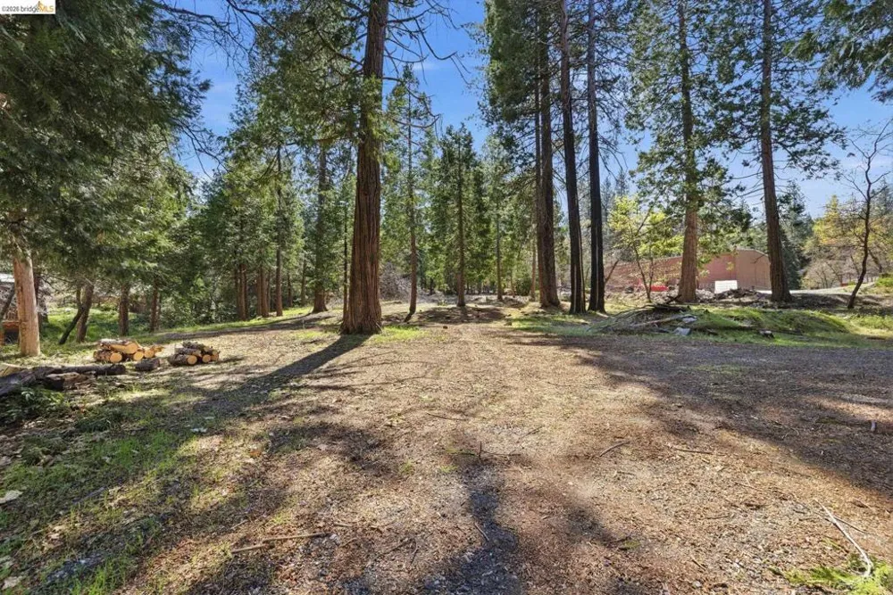 24189 S Fork Rd Twain Harte, CA 95383