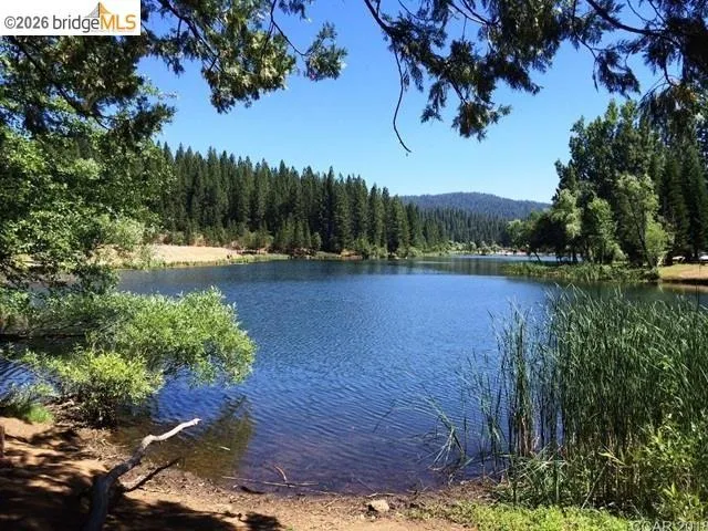 2008 Antler Arnold, CA 95223
