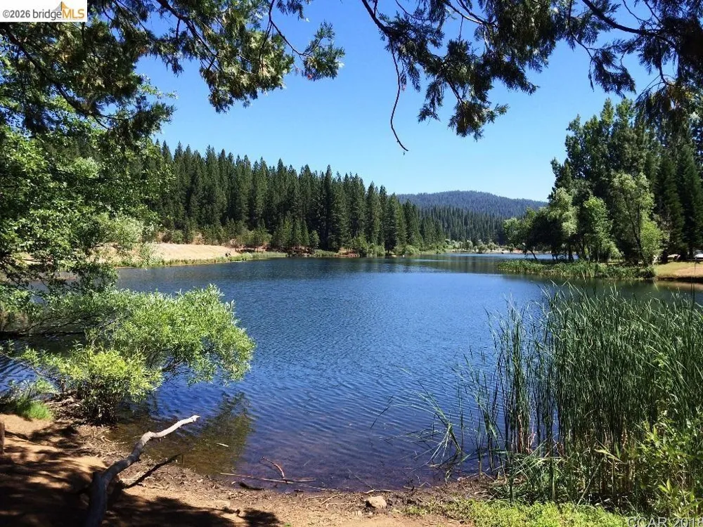 2008 Antler Arnold, CA 95223