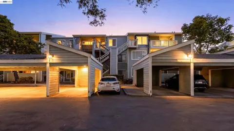 37168 Meadowbrook Cmn #304