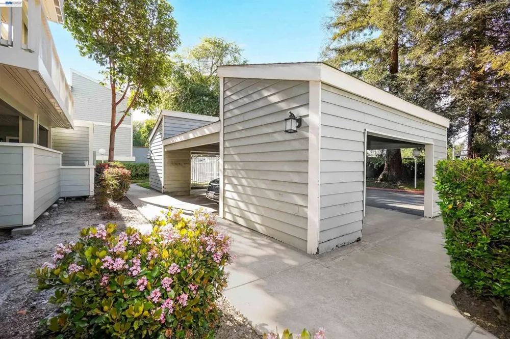37168 Meadowbrook Cmn #304 Fremont, CA 94536