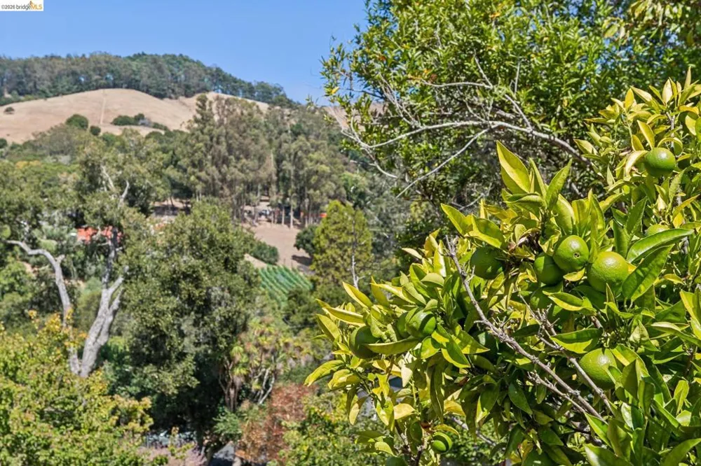 6067 Dimm Way Richmond, CA 94805