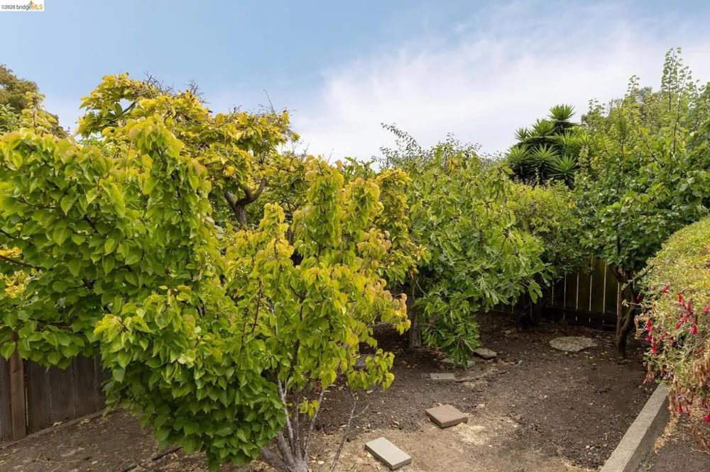 1620 Mendocino St Richmond, CA 94804