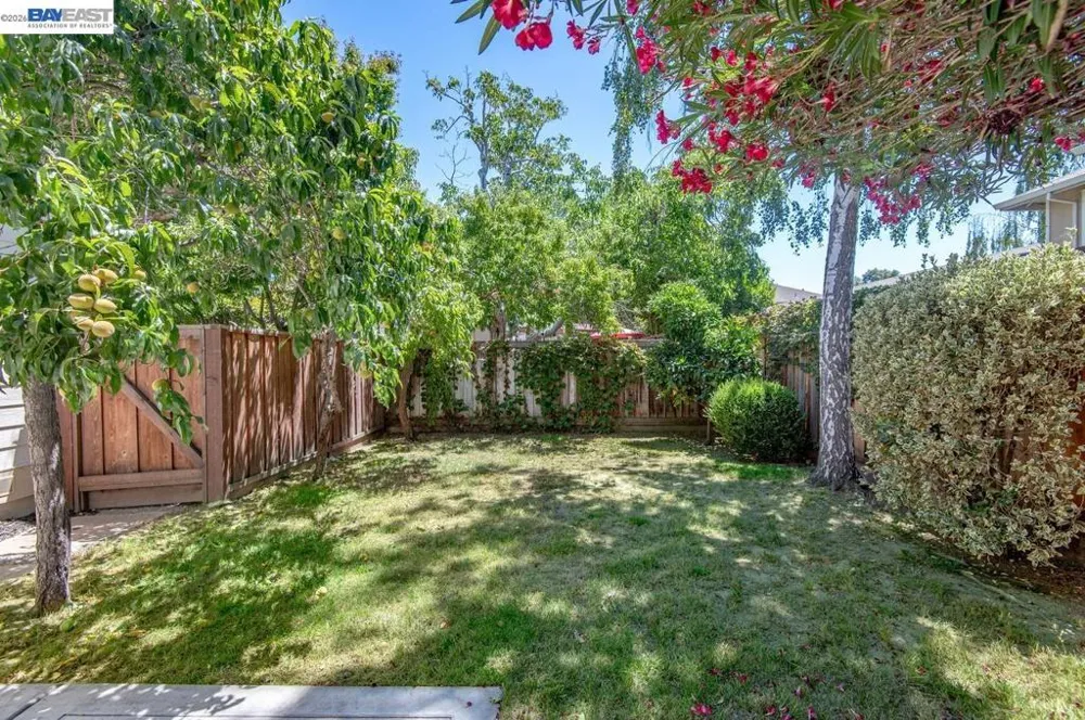 282 Del Valle Ct Pleasanton, CA 94566
