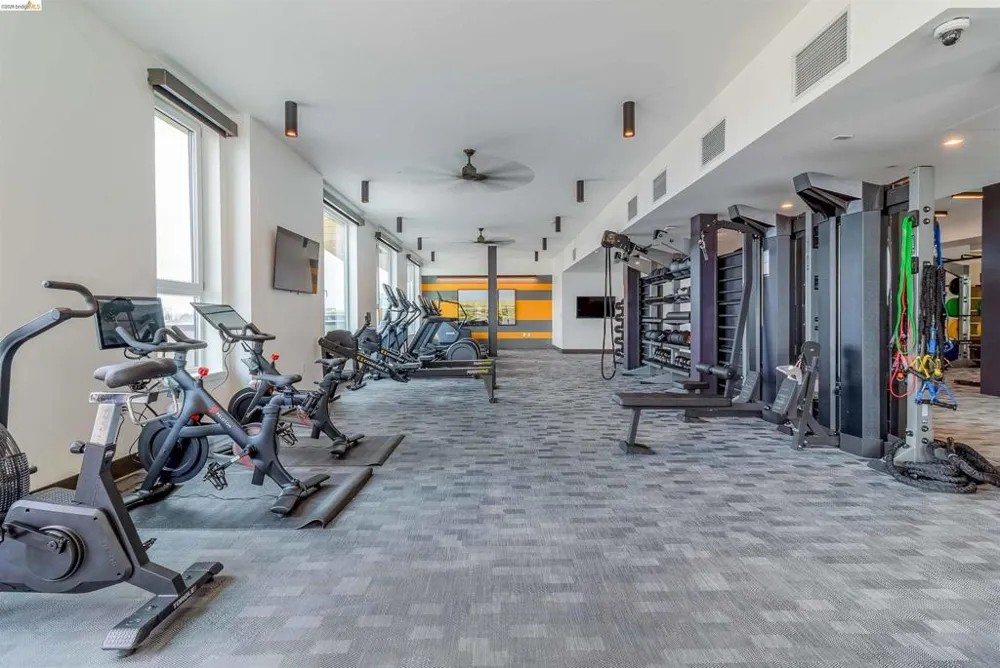 260 Brooklyn Basin Way #419 Oakland, CA 94606