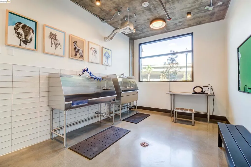 260 Brooklyn Basin Way #419 Oakland, CA 94606