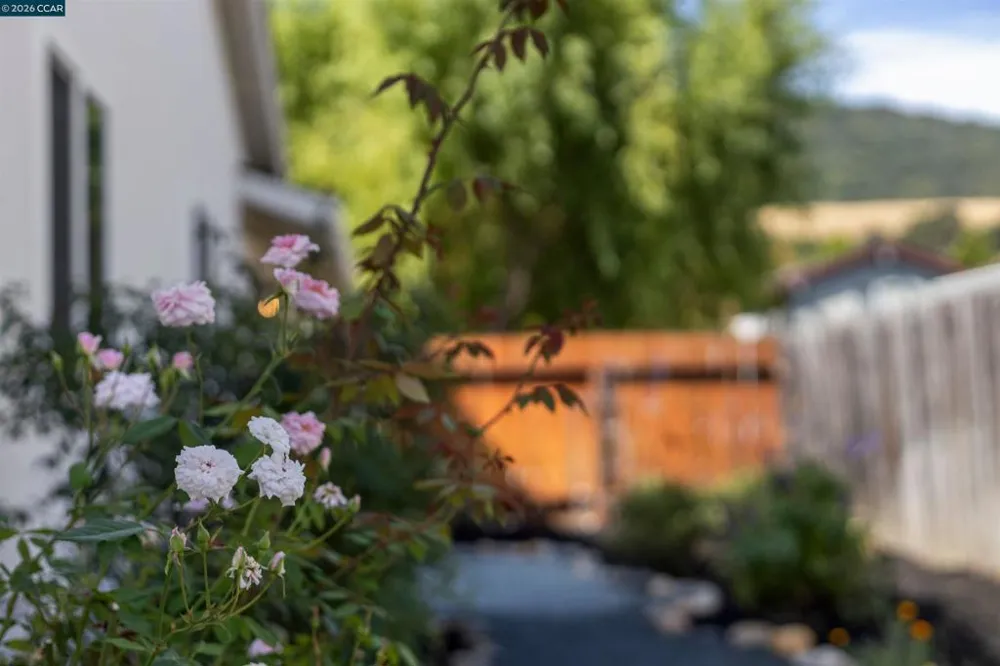 1125 Delta Way Danville, CA 94526