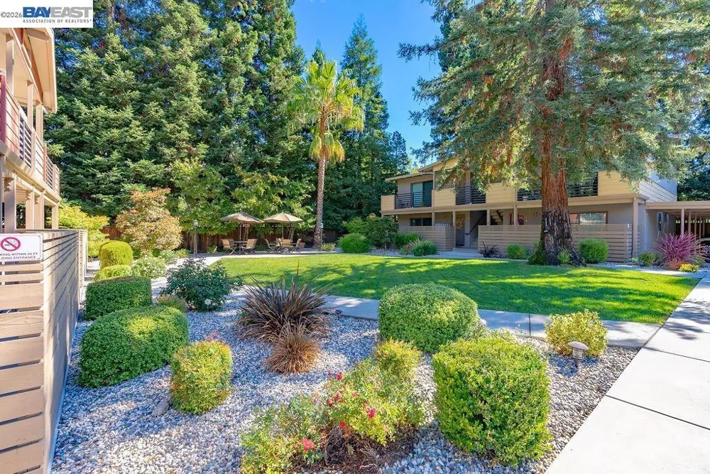 40 Casa Maria Ct Alamo, CA 94507