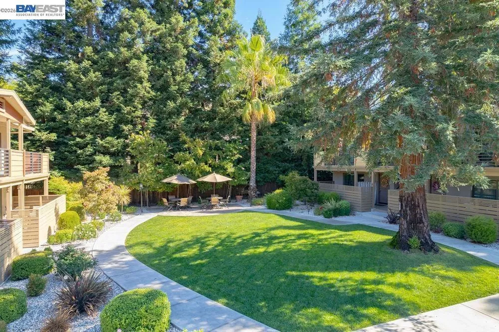 40 Casa Maria Ct Alamo, CA 94507
