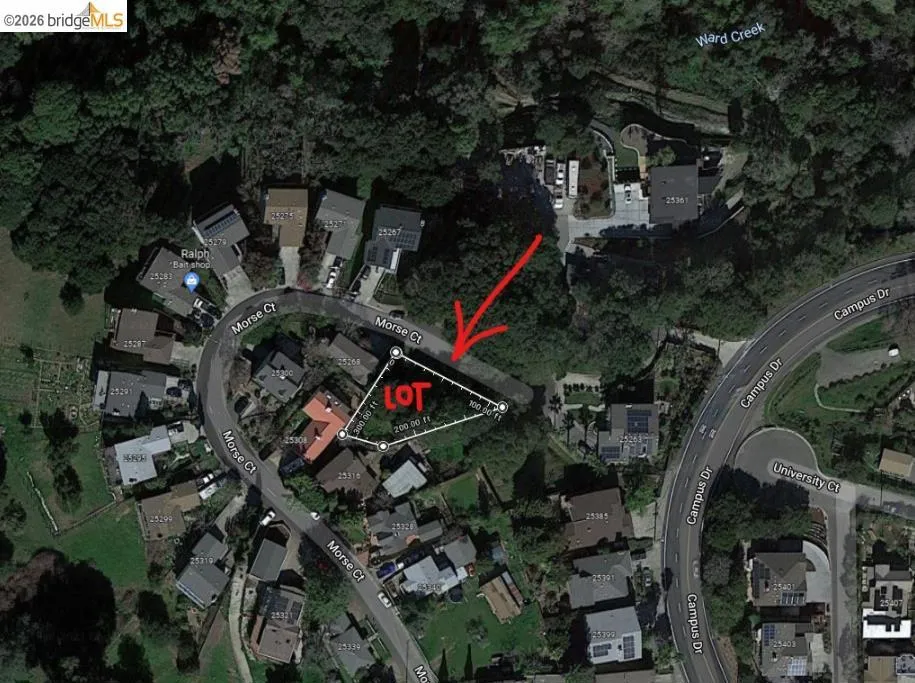 Morse Ave Hayward, CA 94542