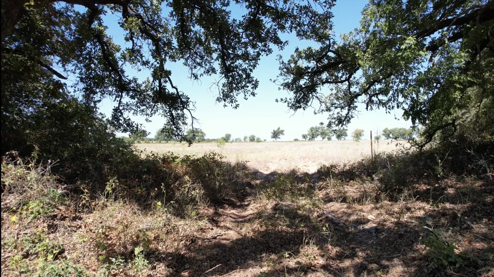 County Road 366 Gorman, TX 76454