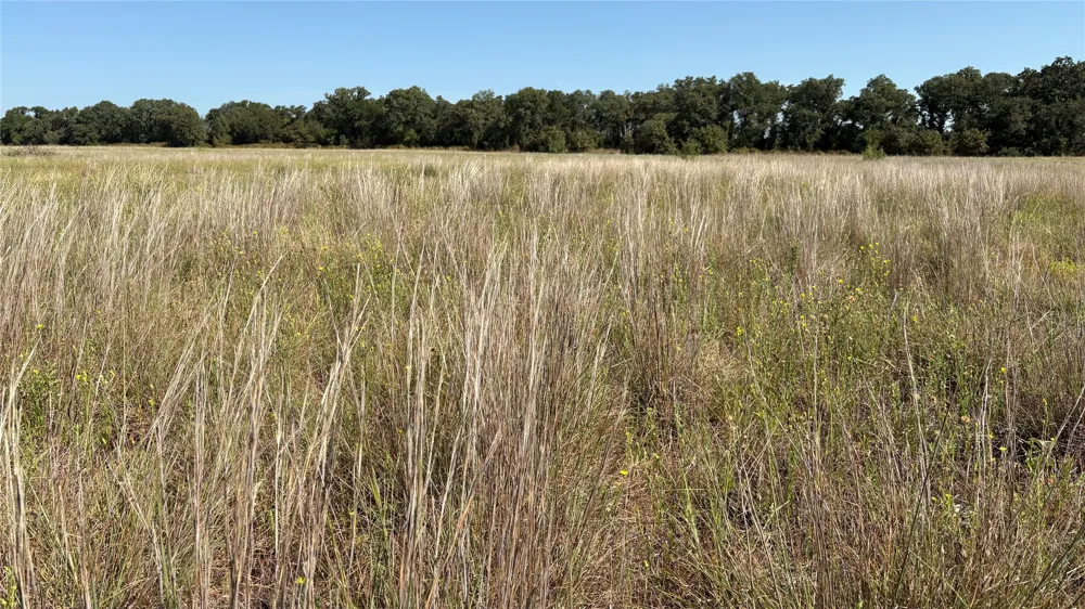 County Road 366 Gorman, TX 76454