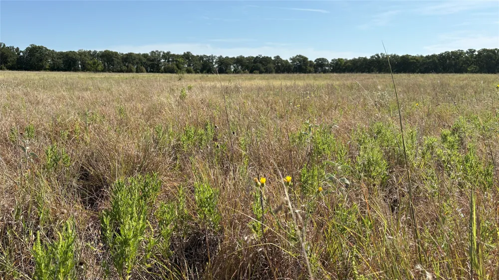 County Road 366 Gorman, TX 76454