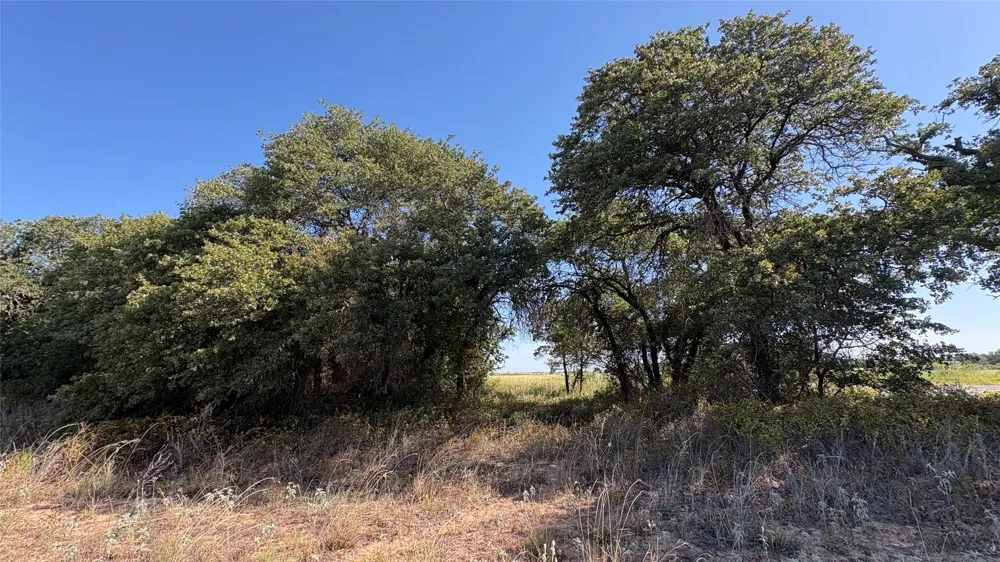 County Road 366 Gorman, TX 76454