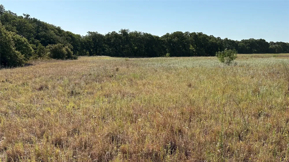 County Road 366 Gorman, TX 76454